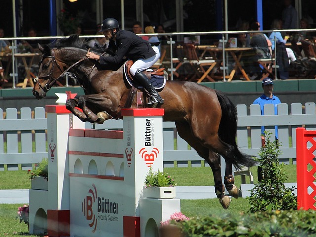 3500万，再见湖人！离队进入倒计时，你丢掉了自身最关键的优势.